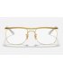 RAY-BAN Olimpian IX Optics